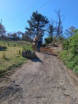 영수농원님의 작성글 사진