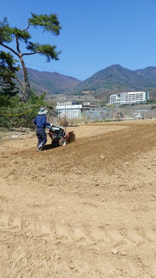 오동추님의 기타작물 · 영농일지 작성글 사진