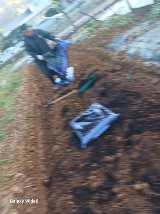 최연태님의 기타작물 · 영농일지 작성글 사진