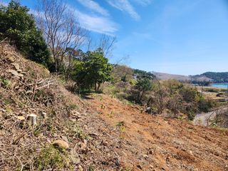 풀과전쟁님의 기타작물 · 영농일지 작성글 사진