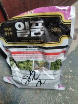 팜모닝 마늘·영농일지 게시글 이미지