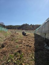 김윤회님의 작성글 사진