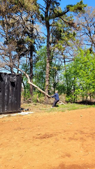 로만아빠님의 기타작물 · 영농일지 작성글 사진