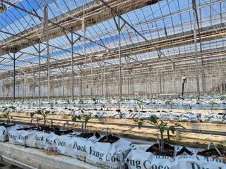 늘햇살팜 님의 기타작물 · 영농일지 작성글 사진