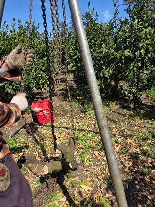 산방자연농원님의 귤 · 영농일지 작성글 사진