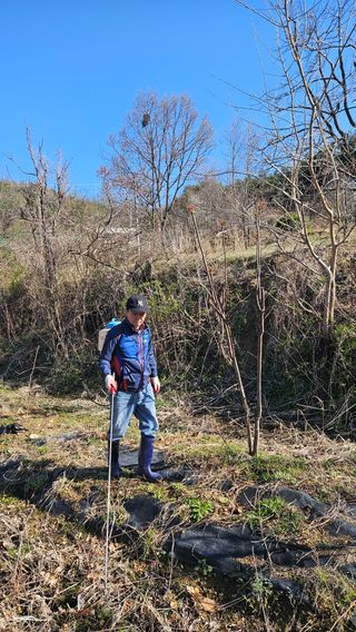 정규환님의 기타작물 · 영농일지 작성글 사진
