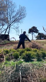 팜모닝 기타작물·영농일지 게시글 이미지