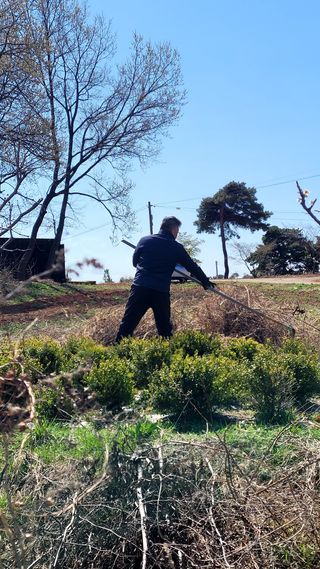 로만아빠님의 기타작물 · 영농일지 작성글 사진