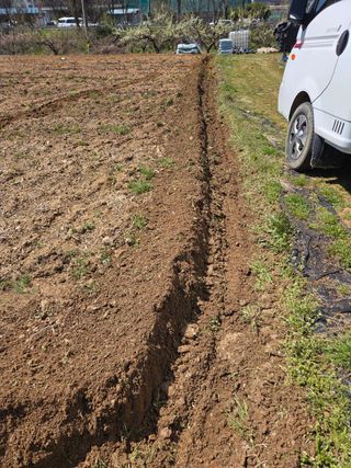 김연숙님의 기타작물 · 영농일지 작성글 사진
