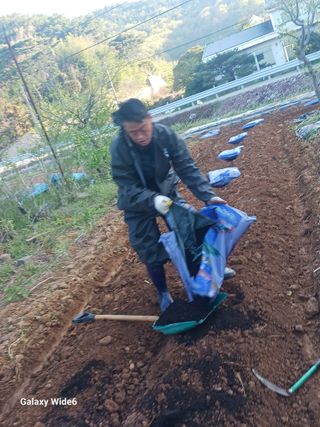 최연태님의 기타작물 · 영농일지 작성글 사진