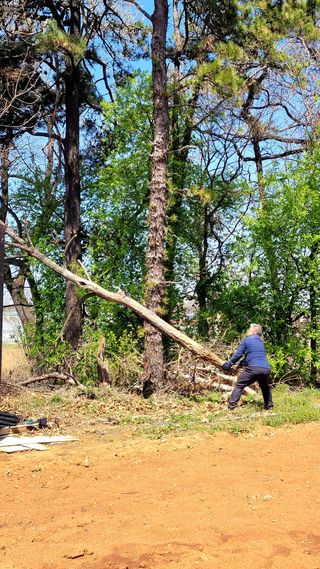 로만아빠님의 기타작물 · 영농일지 작성글 사진