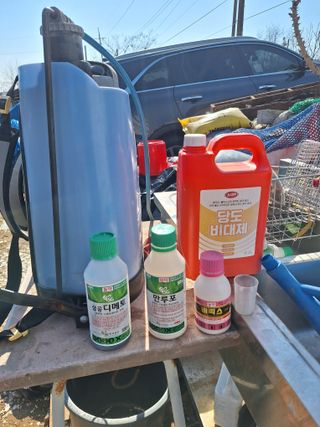 김용환님의 마늘 · 영농일지 작성글 사진