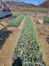 유제상님의 작성글 사진