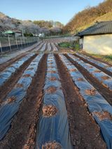 전진욱님의 작성글 사진