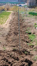 이상철님의 작성글 사진