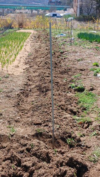 이상철님의 기타작물 · 영농일지 작성글 사진