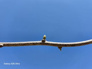 김종협님의 기타작물 · 영농일지 작성글 사진