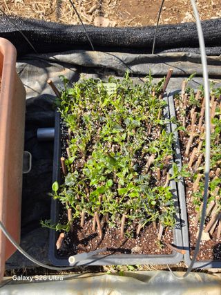 김종협님의 작성글 사진