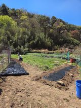 팜모닝 감자·영농일지 게시글 이미지