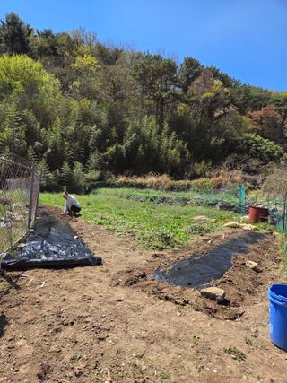 최성욱님의 작성글 사진