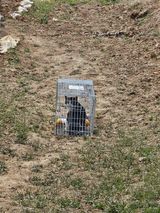 참외님의 작성글 사진