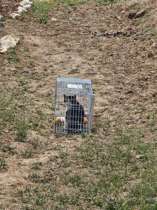참외님의 기타작물 · 영농일지 작성글 사진