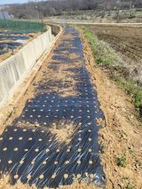 팜모닝 벼·영농일지 게시글 이미지