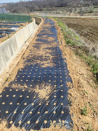 최병우님의 벼 · 영농일지 작성글 사진