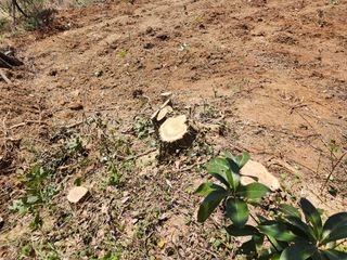 풀과전쟁님의 작성글 사진