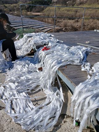 벼15517님의 기타작물 · 영농일지 작성글 사진