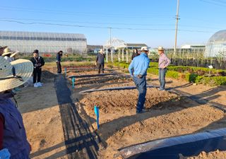 철남 김희곤님의 기타작물 · 영농일지 작성글 사진