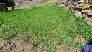 홍광희님의 기타작물 · 영농일지 작성글 사진