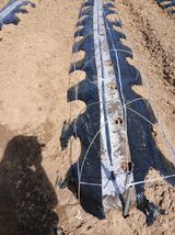 최유순님의 작성글 사진