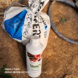 김성훈님의 작성글 사진