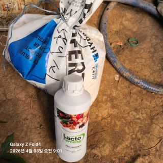 김성훈님의 기타작물 · 영농일지 작성글 사진