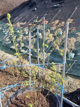 참깨16081님의 작성글 사진