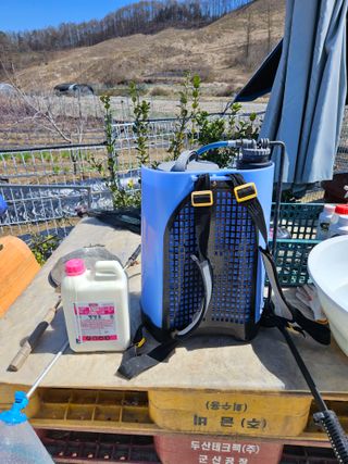 유제상님의 감자 · 영농일지 작성글 사진