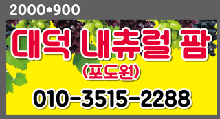 전진원님의 포도 · 영농일지 작성글 사진