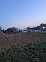 팜모닝 기타작물·영농일지 게시글 이미지