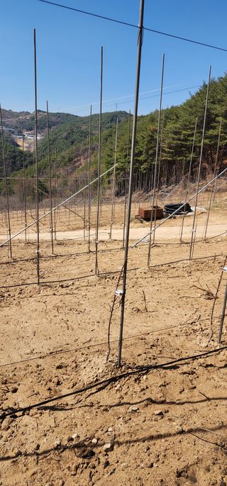 이철님의 기타작물 · 영농일지 작성글 사진