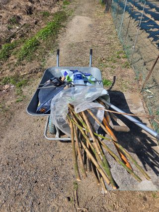 박병철님의 작성글 사진