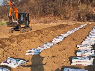 김숙희님의 블루베리 · 영농일지 작성글 사진