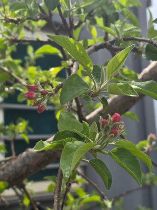 최동구님의 기타작물 · 영농일지 작성글 사진