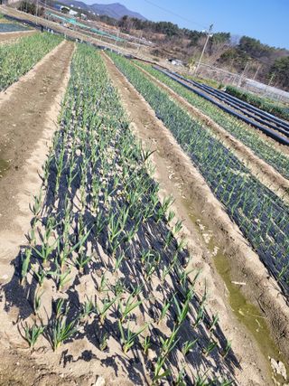 전선경님의 작성글 사진