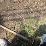 동동예행복농장님의 작성글 사진