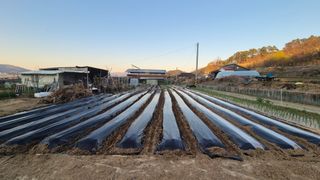 전환엽님의 기타작물 · 영농일지 작성글 사진