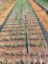 김용환님의 작성글 사진