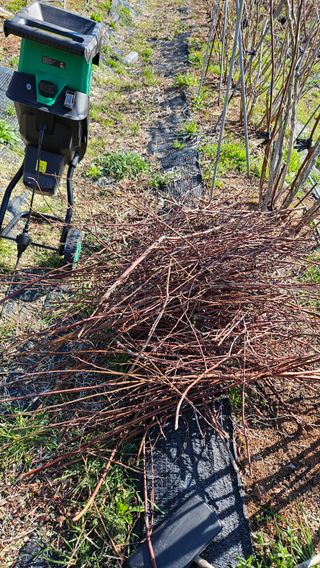 대봉농원 이경화님의 작성글 사진