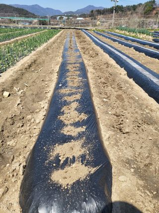 전선경님의 기타작물 · 영농일지 작성글 사진