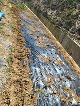 최병우님의 작성글 사진